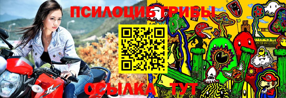Галлюциногенные грибы GOLDEN TEACHER  Вход с VPN  Советская Гавань 
